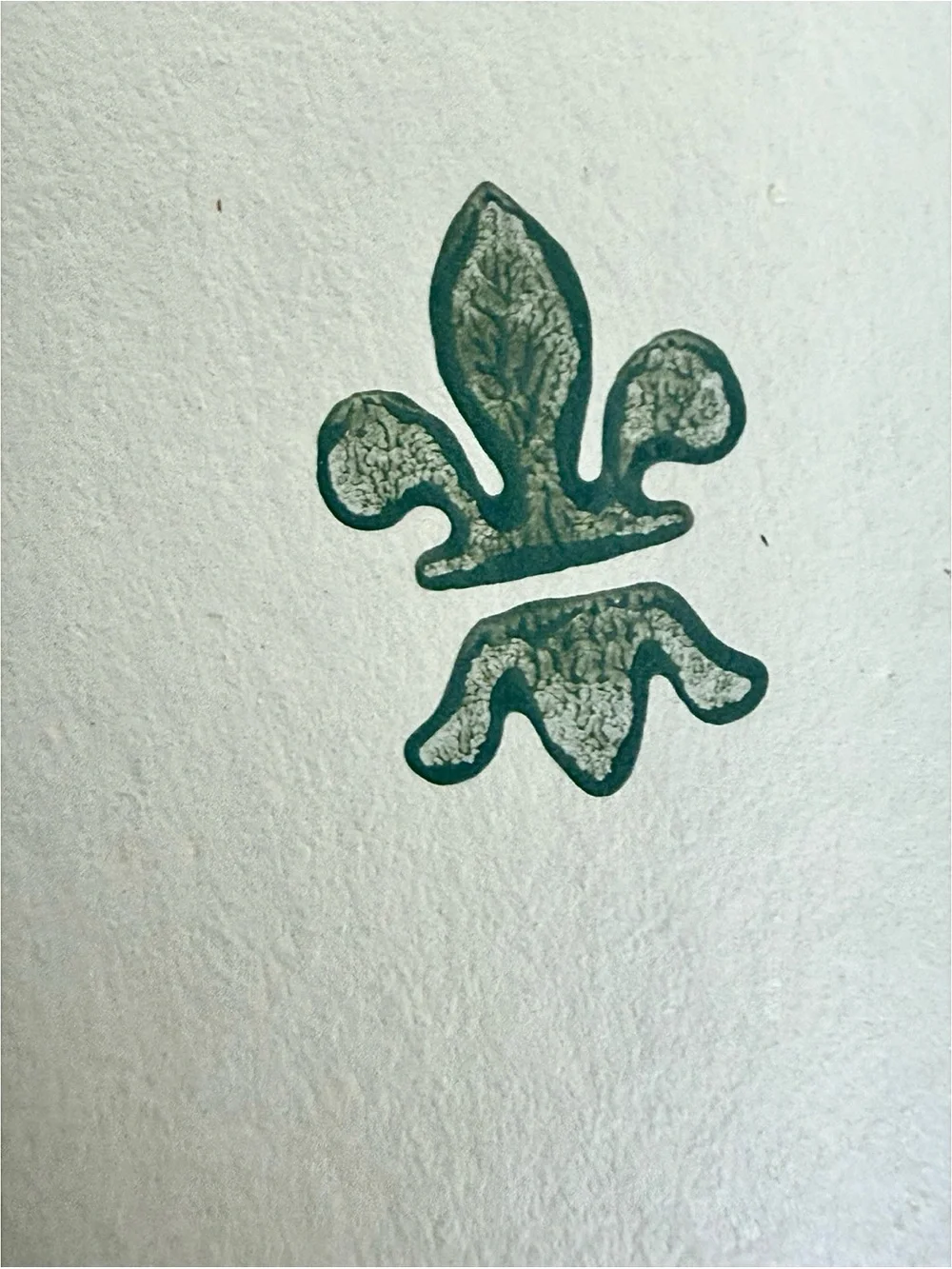 Vintage Hand Blocked Wallpaper European Coat of Arms Royalty Rare Find Historic